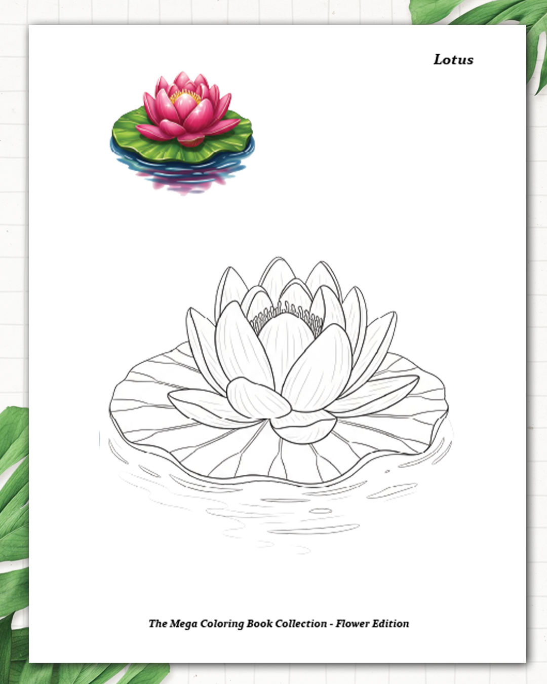 Enchanted Garden Colouring Book