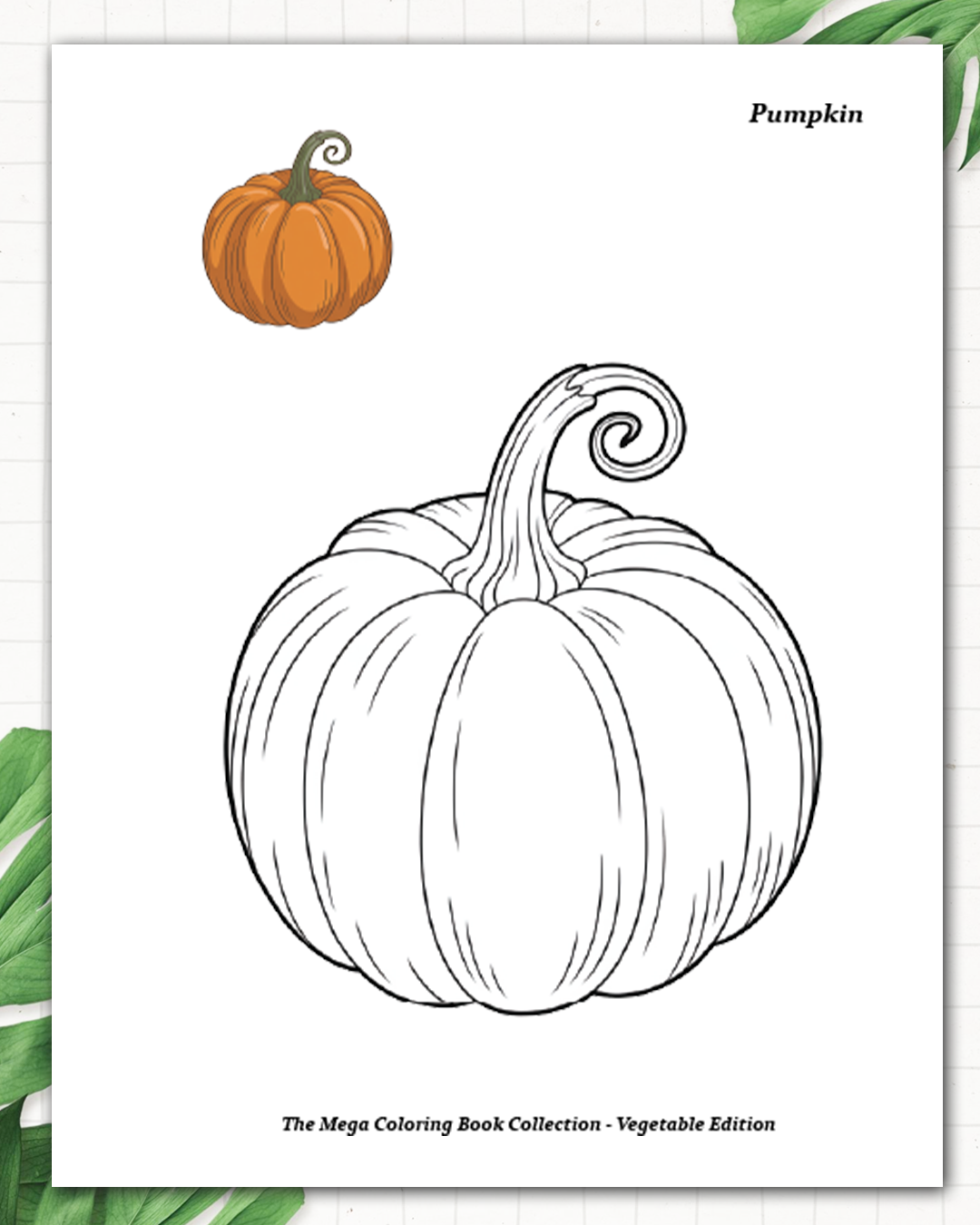 Enchanted Harvest Colouring Book