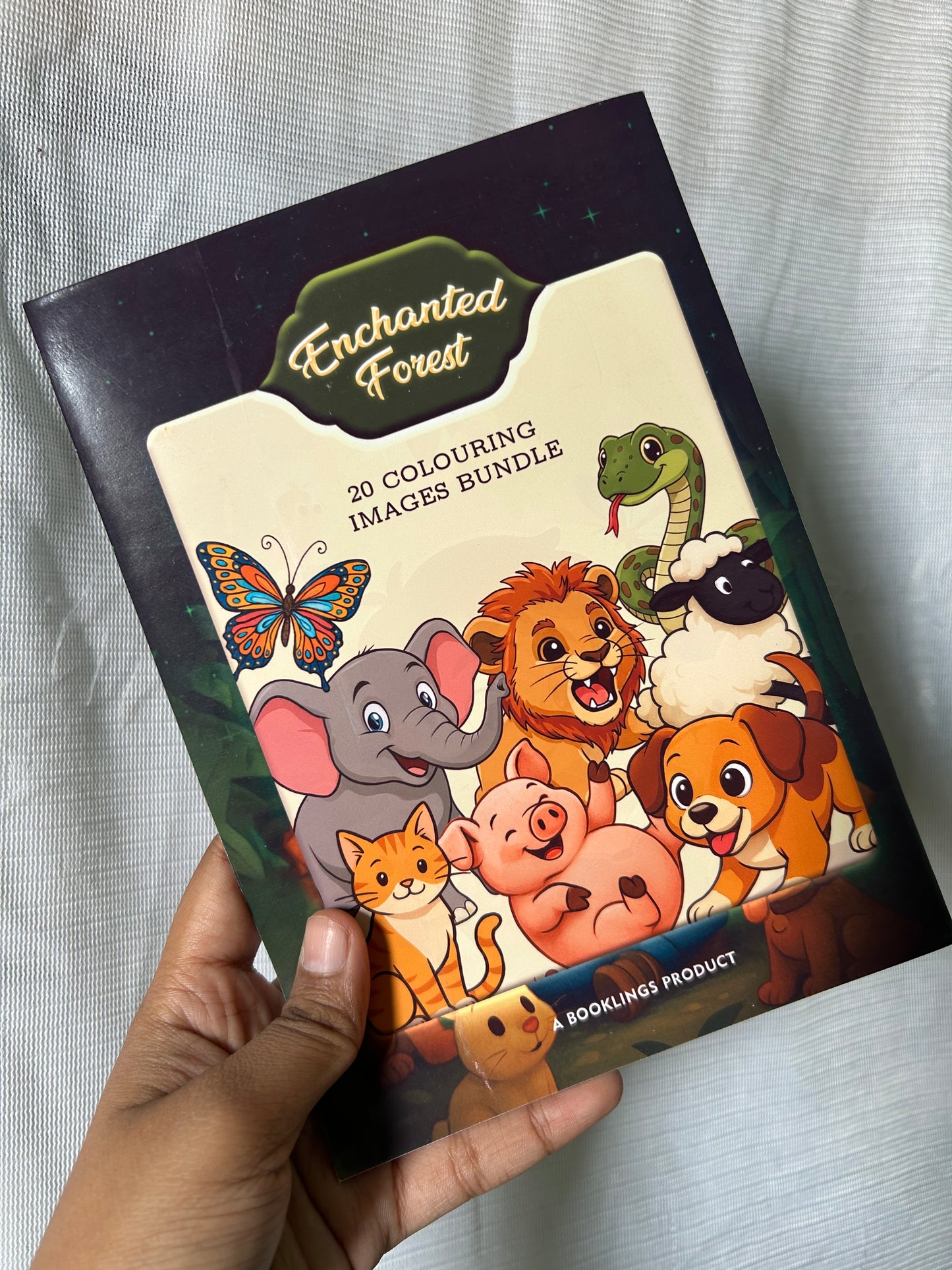 Enchanted Forest Colouring Book