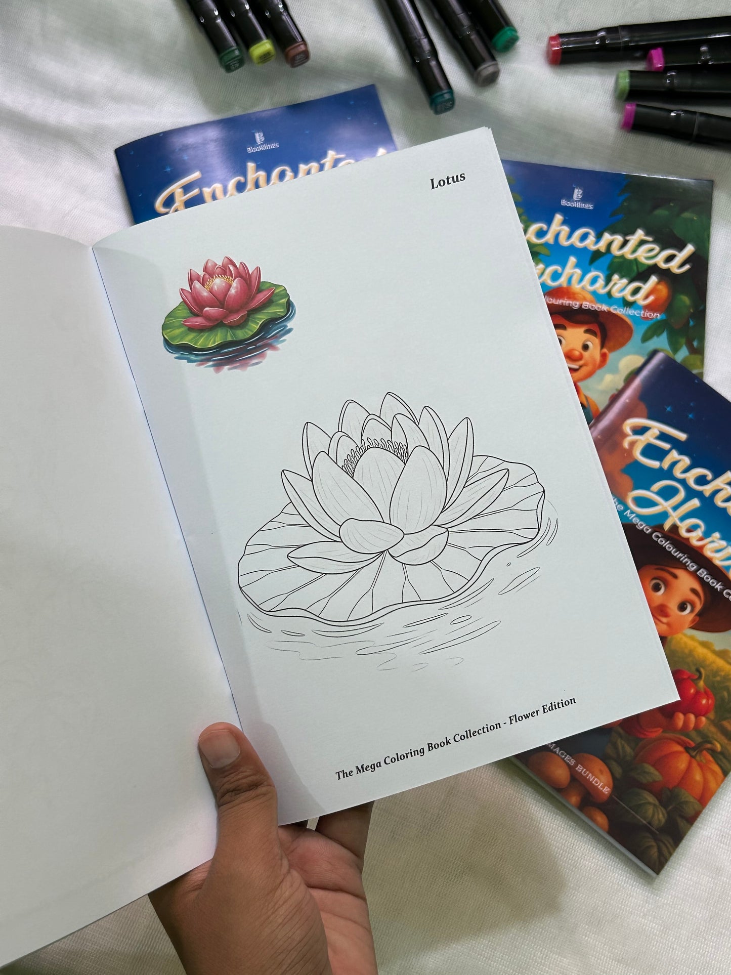 Enchanted Colouring Images Set of 3