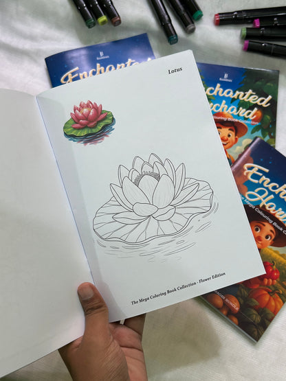 Enchanted Colouring Images Set of 3