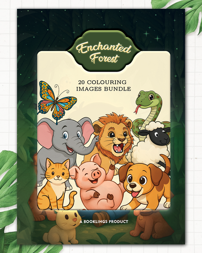 Enchanted Forest Colouring Book