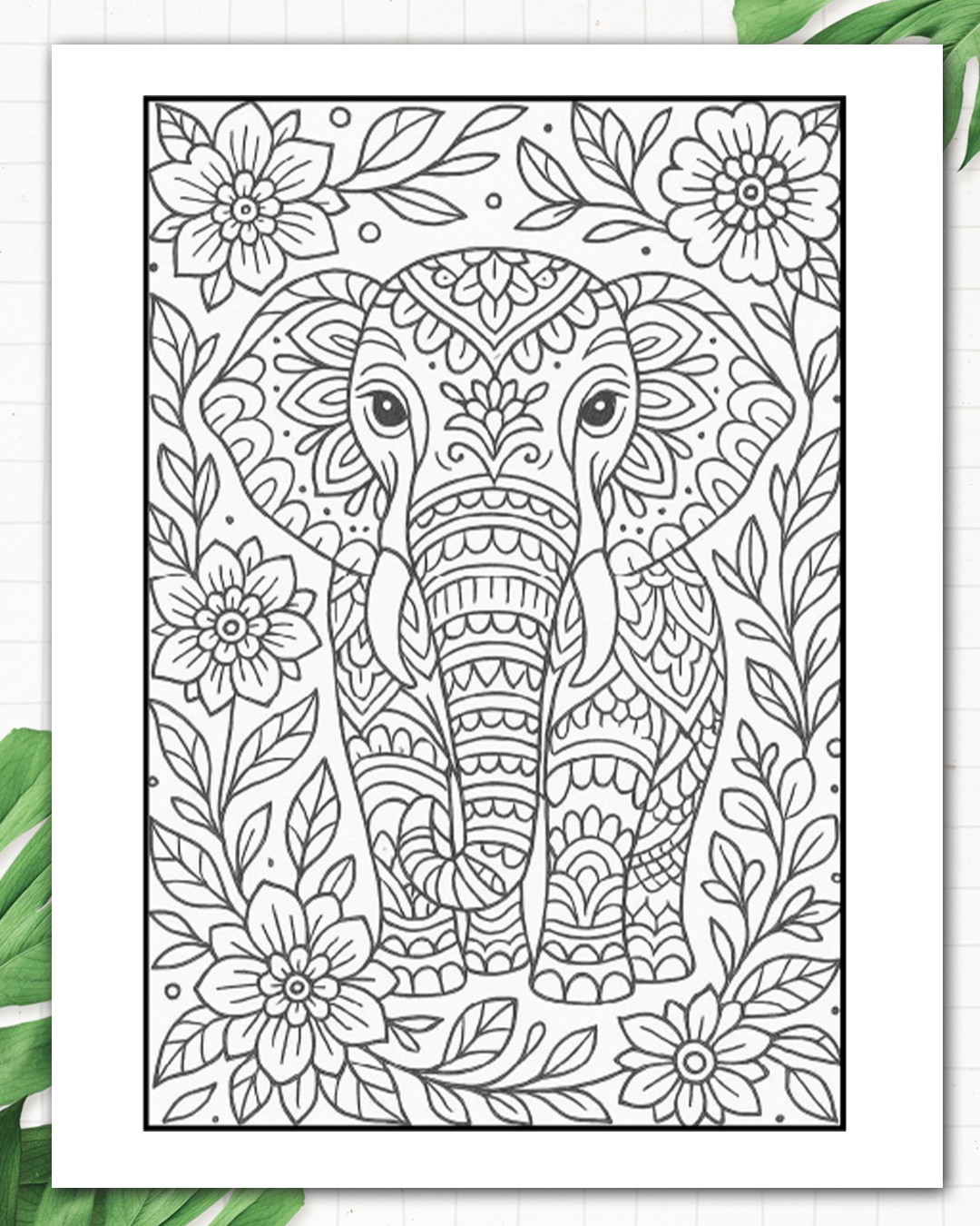 The Inky Paradise  Adult Colouring Book