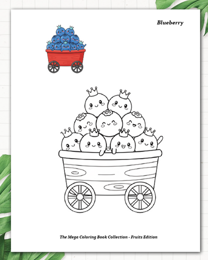 Enchanted Colouring Images Set of 3